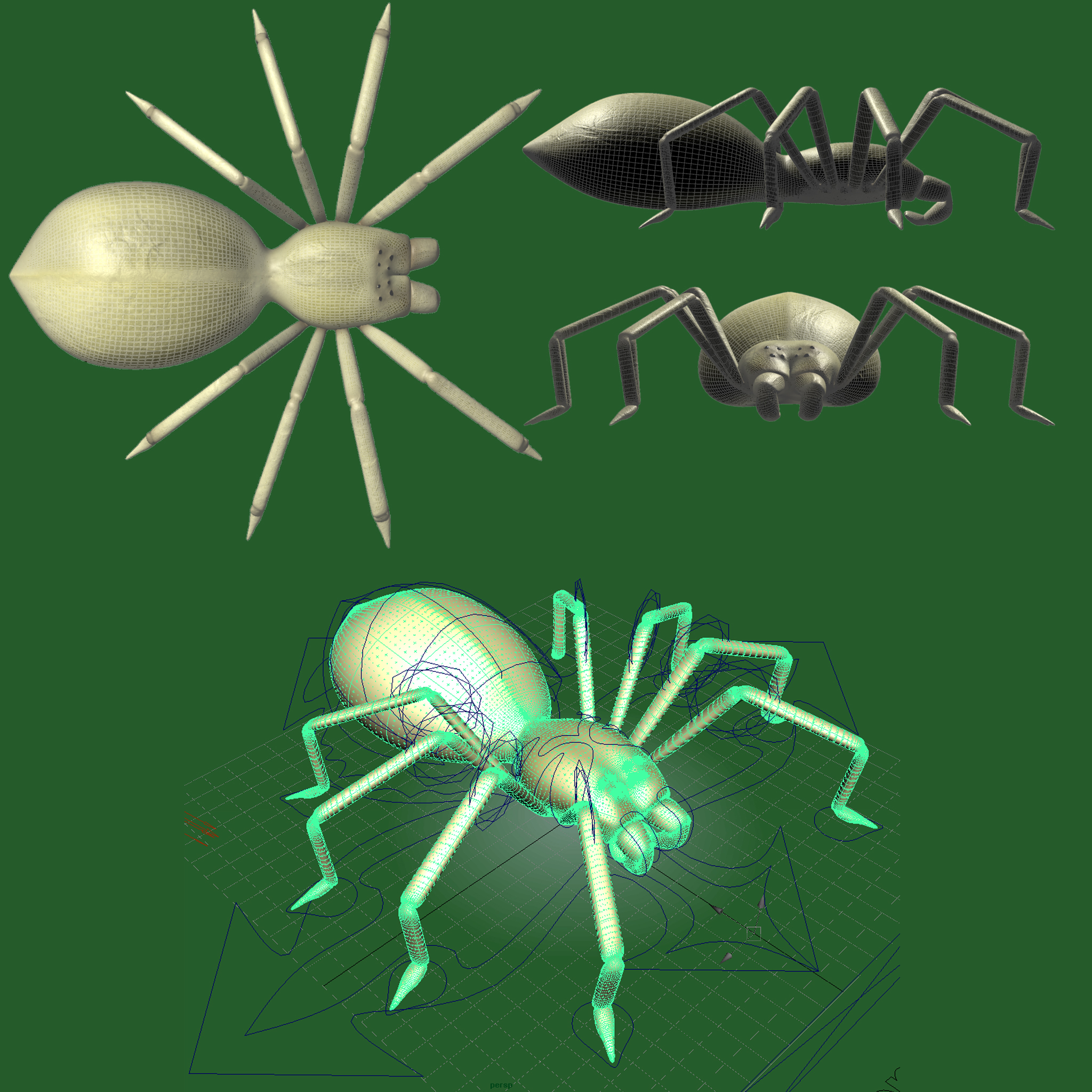 蜘蛛3d模型