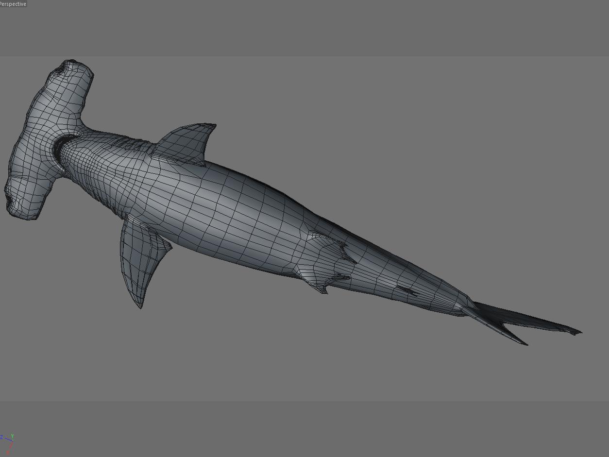 hammerhead shark,Mako shark hammerhead shark