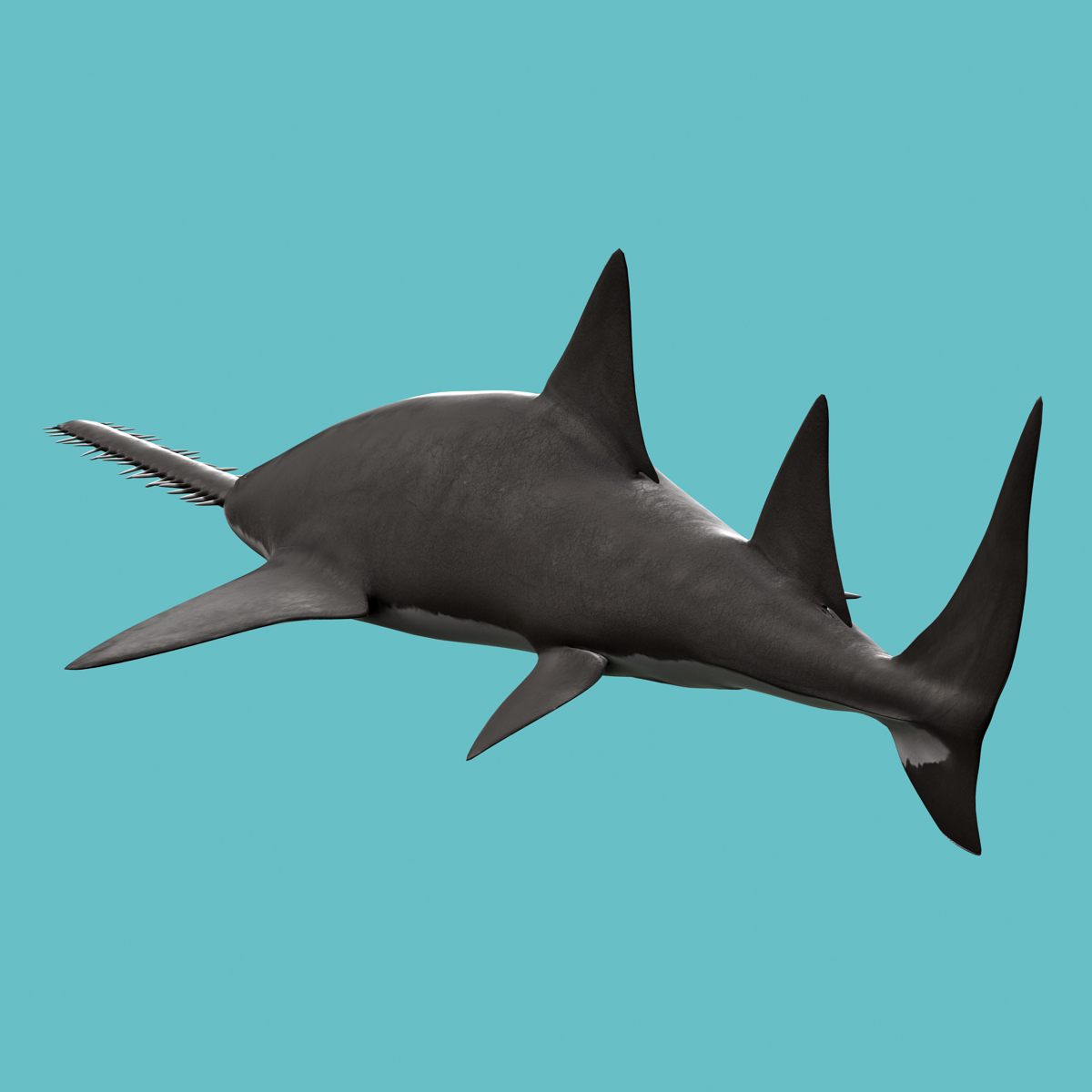 shark 5 sawfish mako 3d max