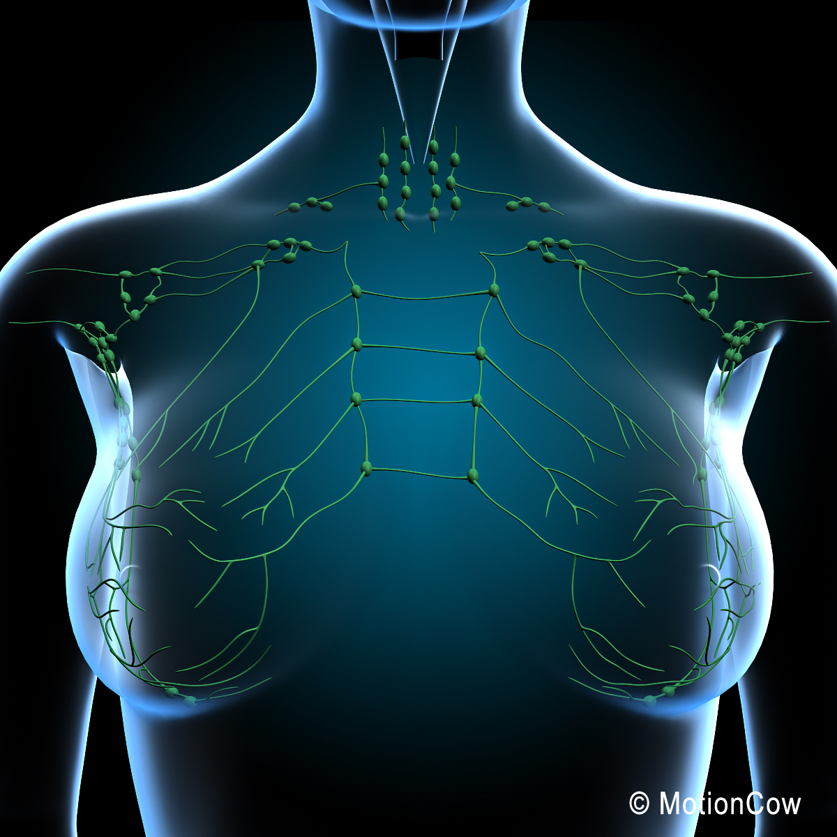 breast