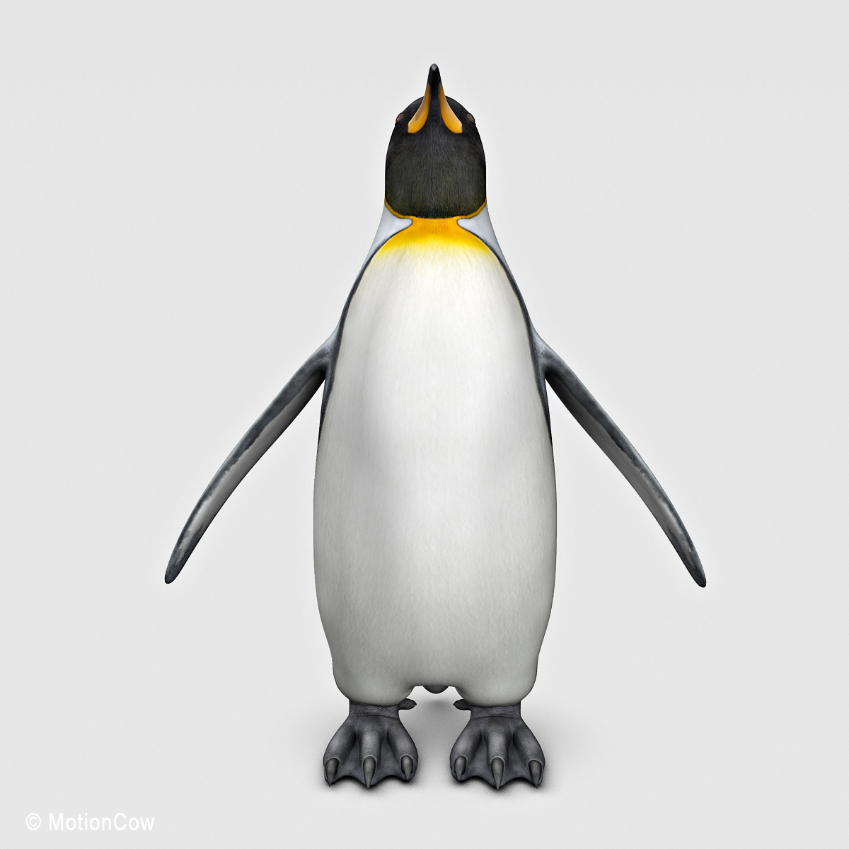 penguin ( king )