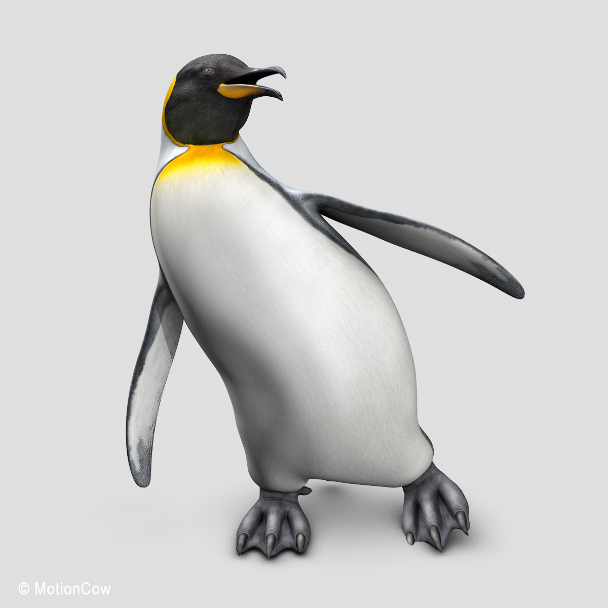 penguin ( king )