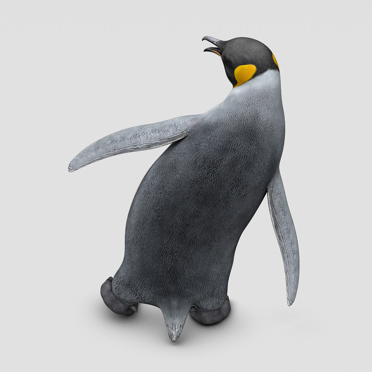 penguin ( king )