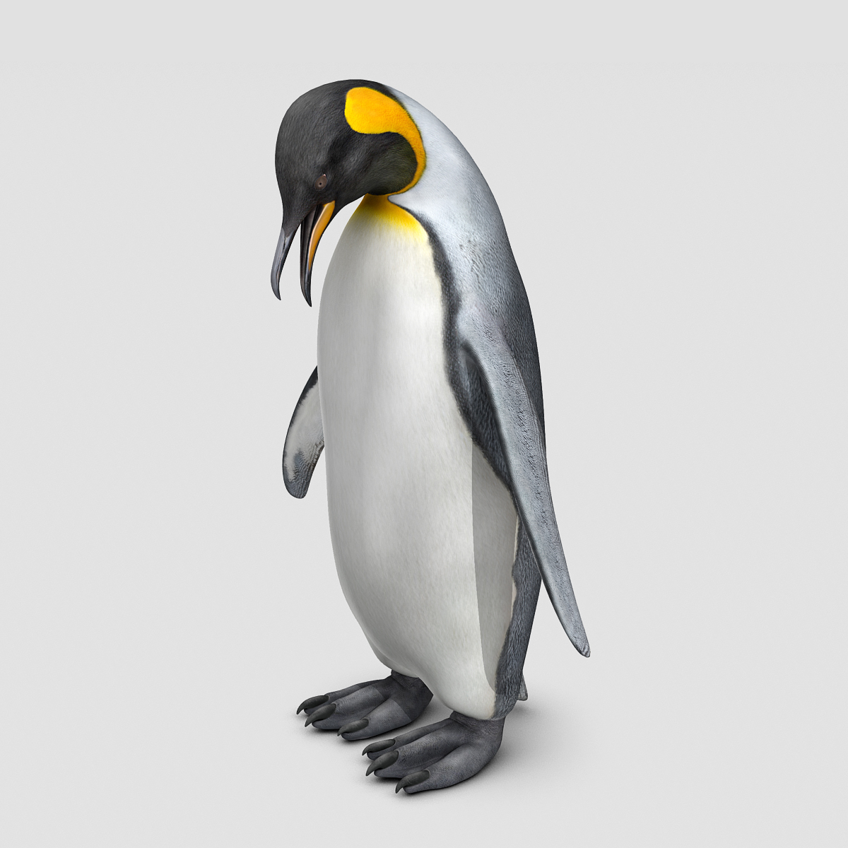 penguin ( king )