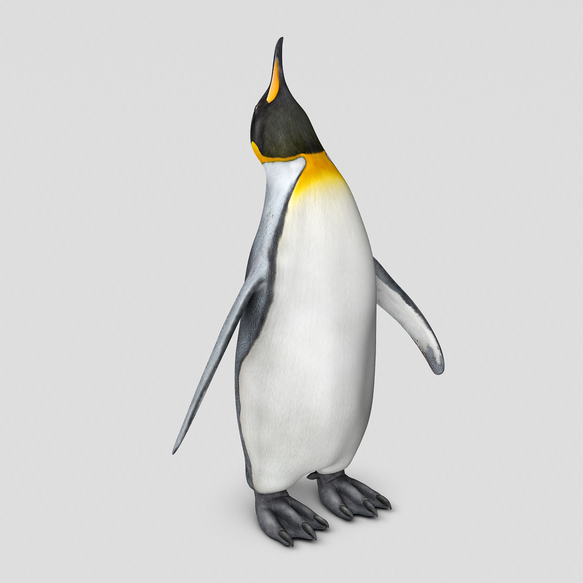 penguin ( king )