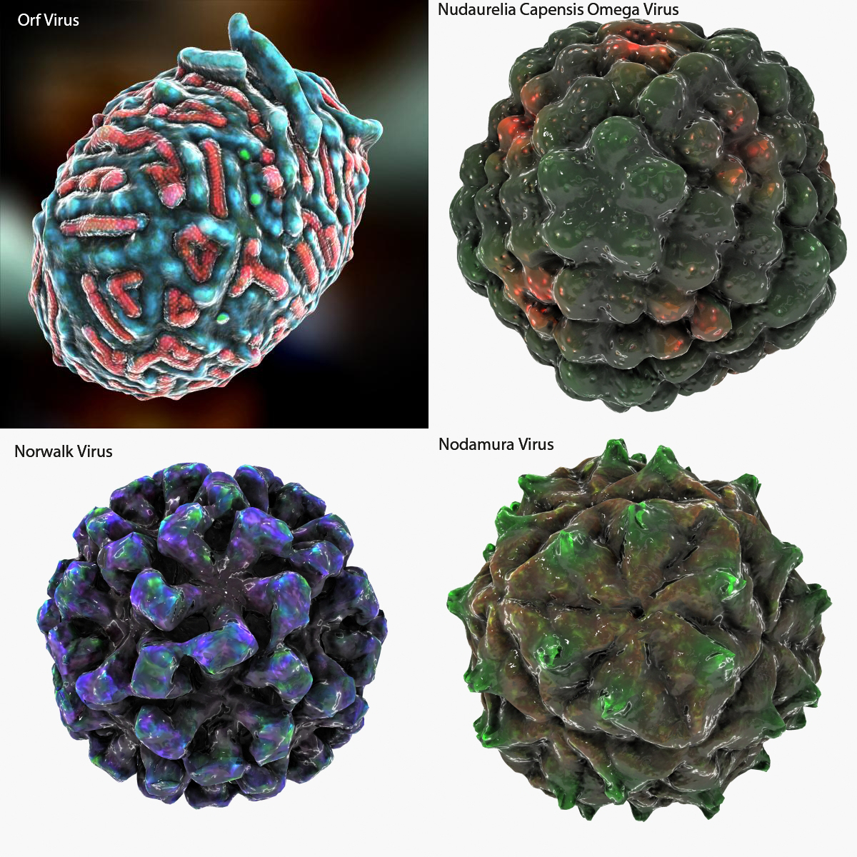 3d virus hiv human model