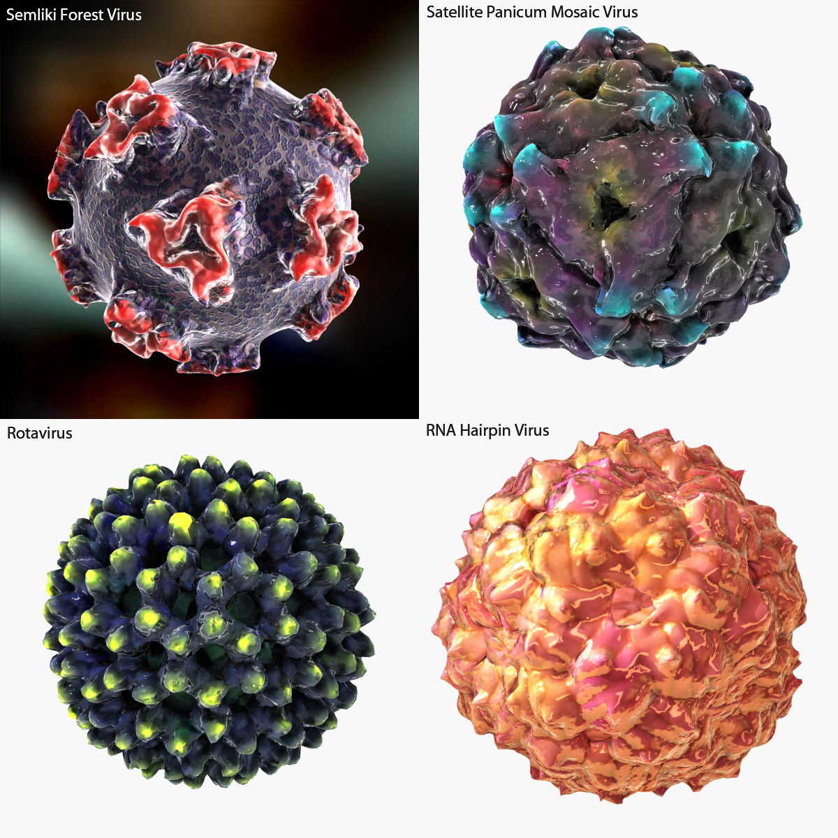 3d virus hiv human model