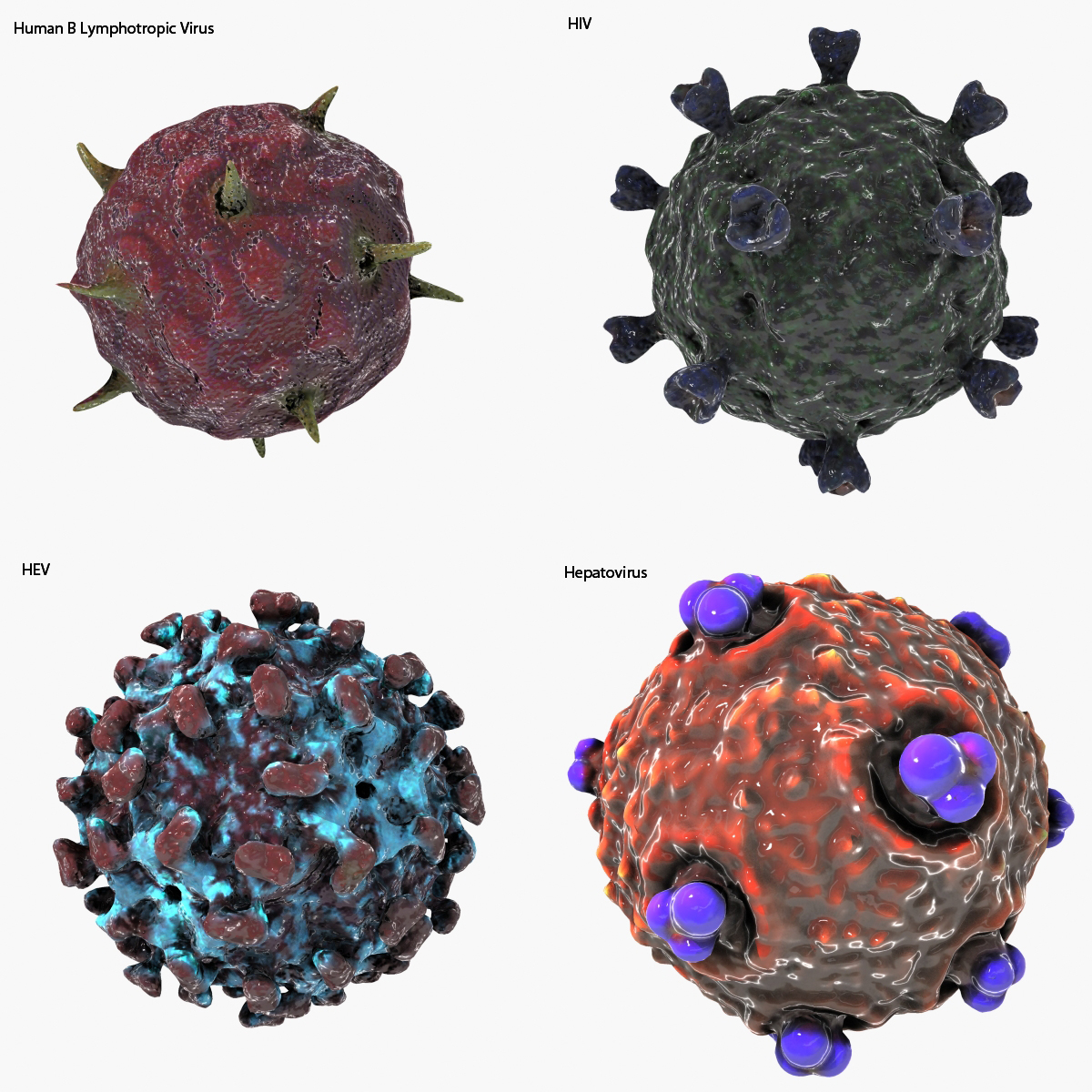 3d virus hiv human model