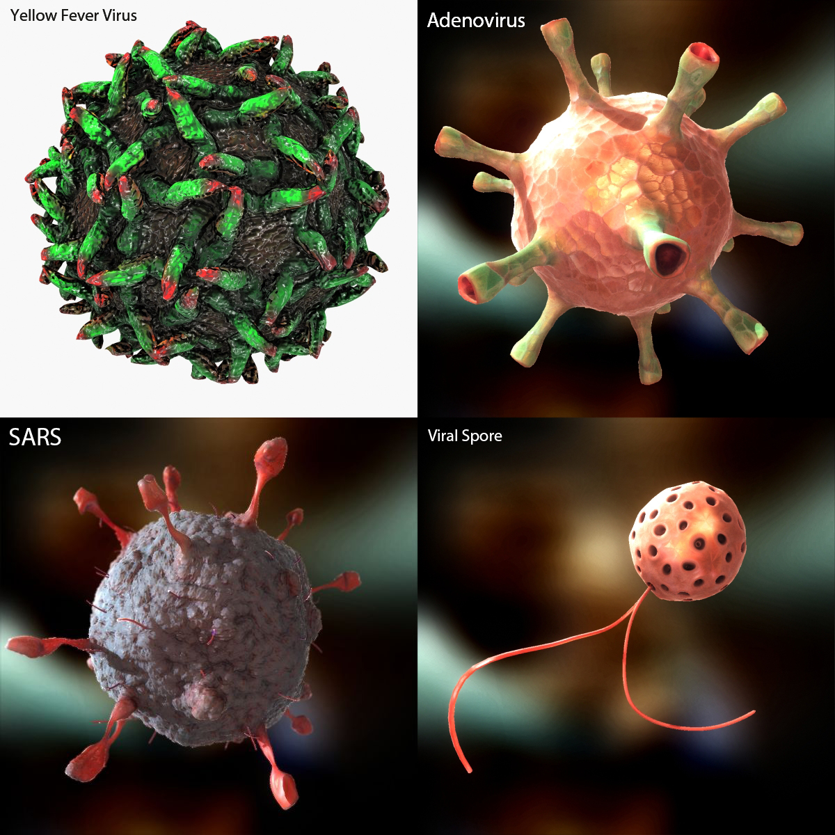 3d virus hiv human model