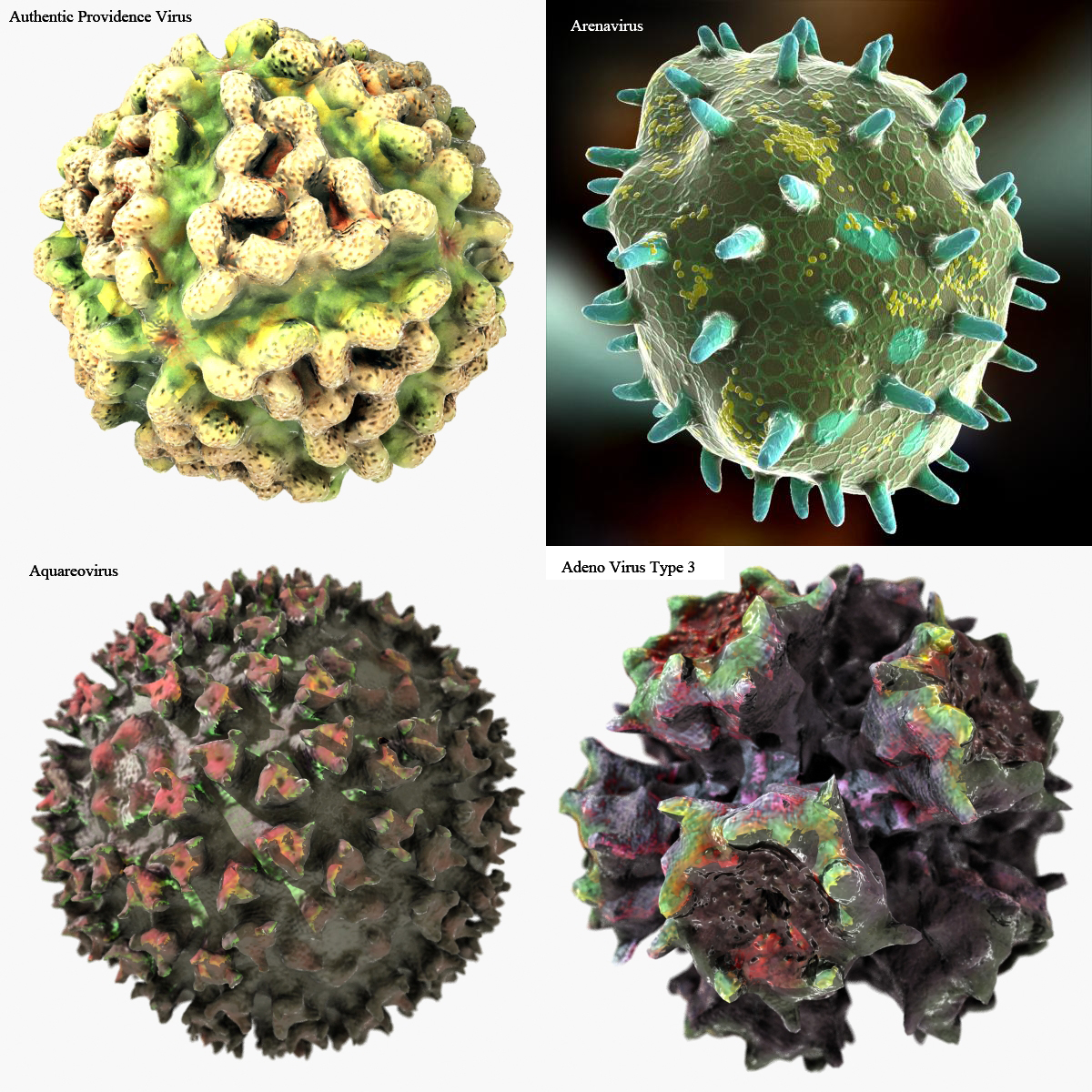 3d virus hiv human model