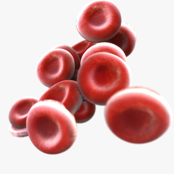 science red-blood-cell 3d models