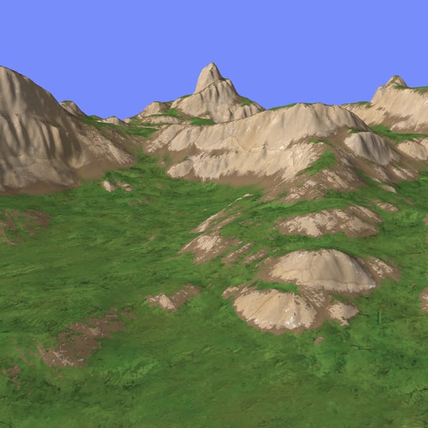 D Model Grassy Terrain Tm