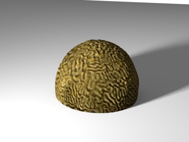 lightwave brain coral