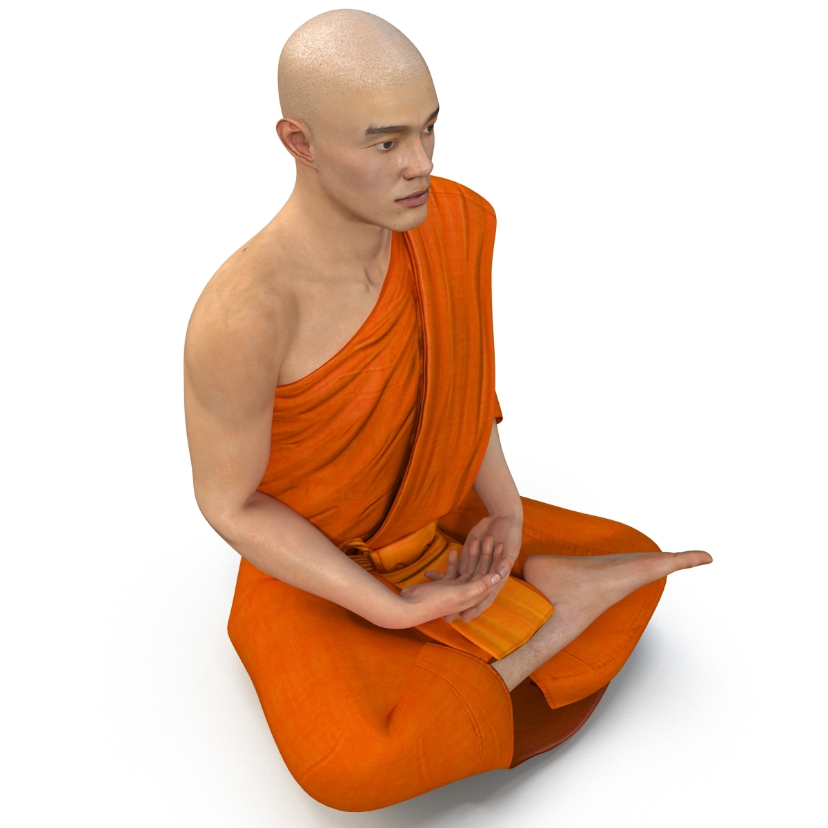 buddhist monk rigged