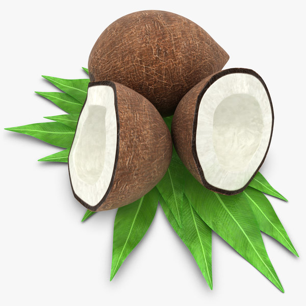 coconut coco nut 3d 3ds