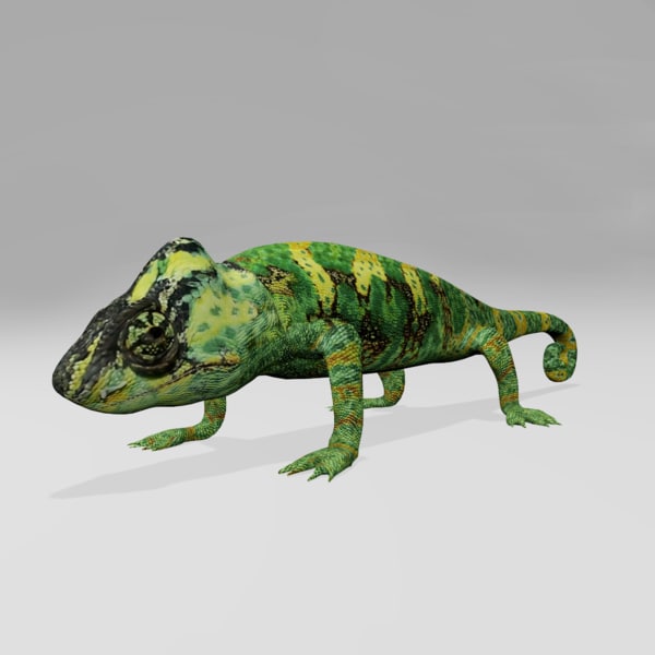 blender蜥蜴模型