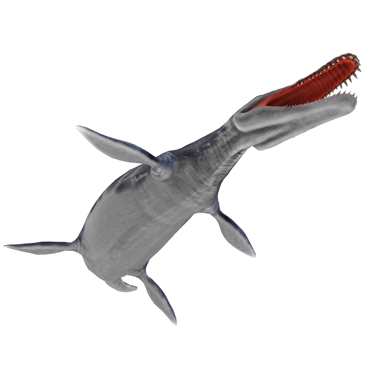 kronosaurus pose 1