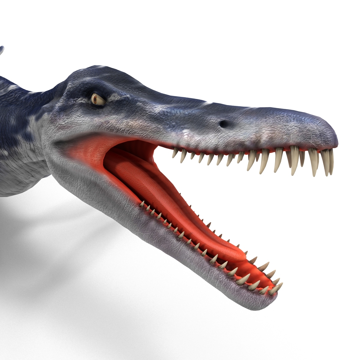 kronosaurus pose 1
