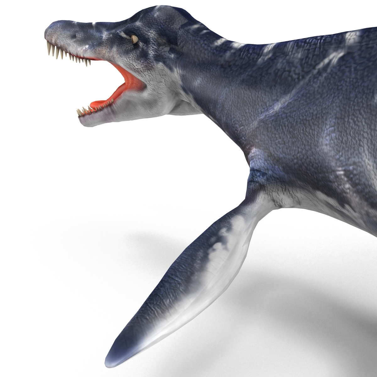 kronosaurus pose 1