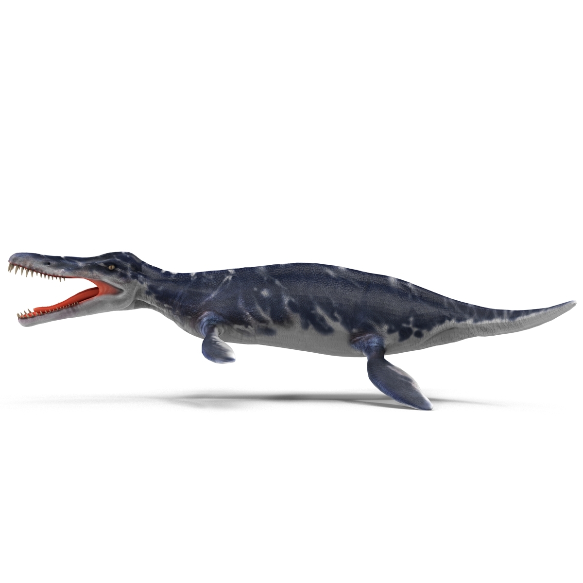 kronosaurus pose 1