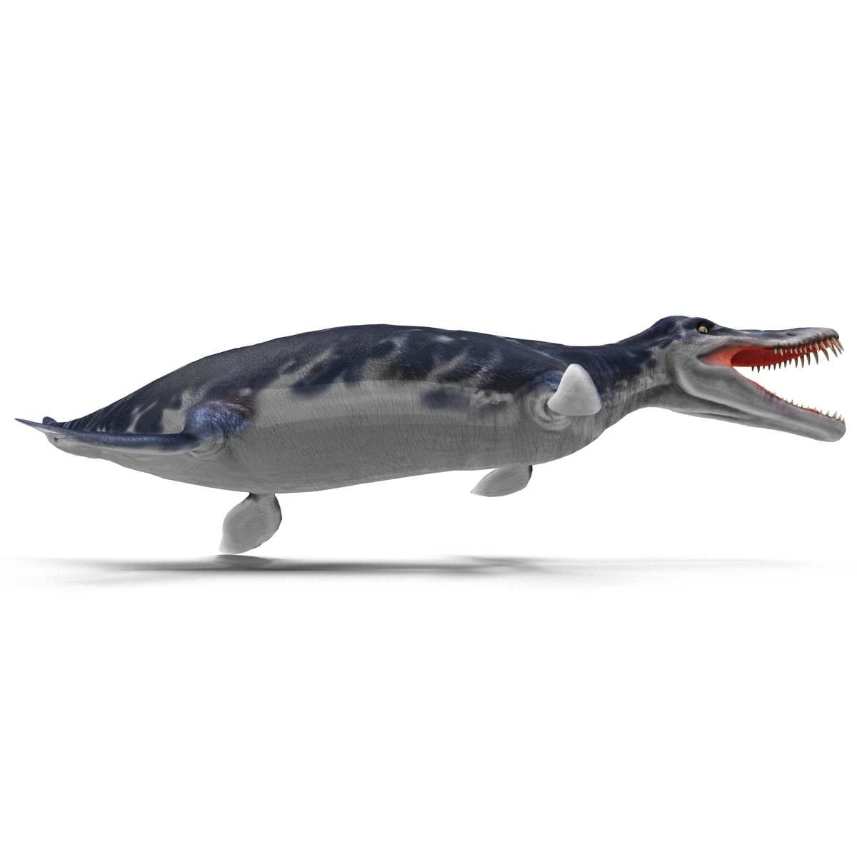 kronosaurus pose 1