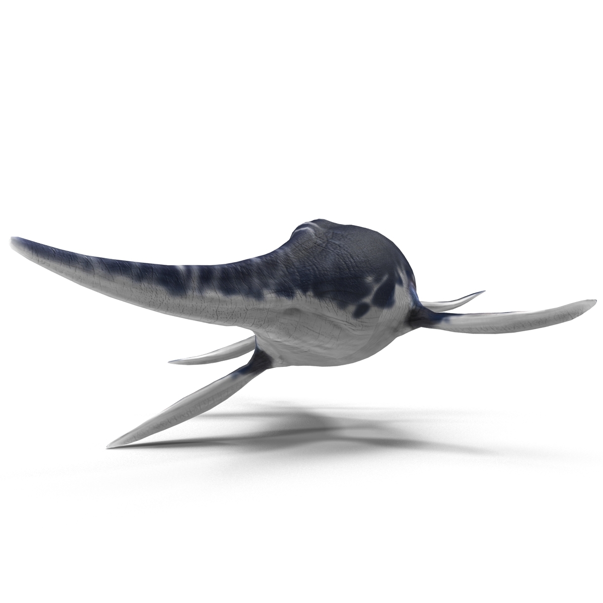 kronosaurus pose 1