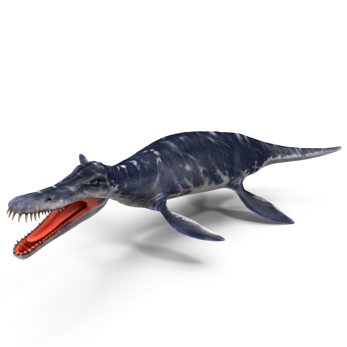 kronosaurus pose 1