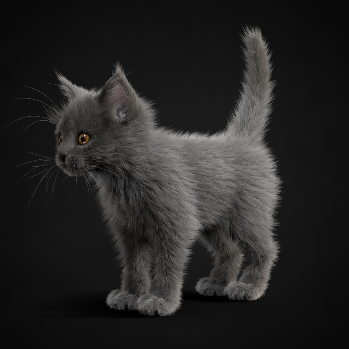 小猫灰色3d模型