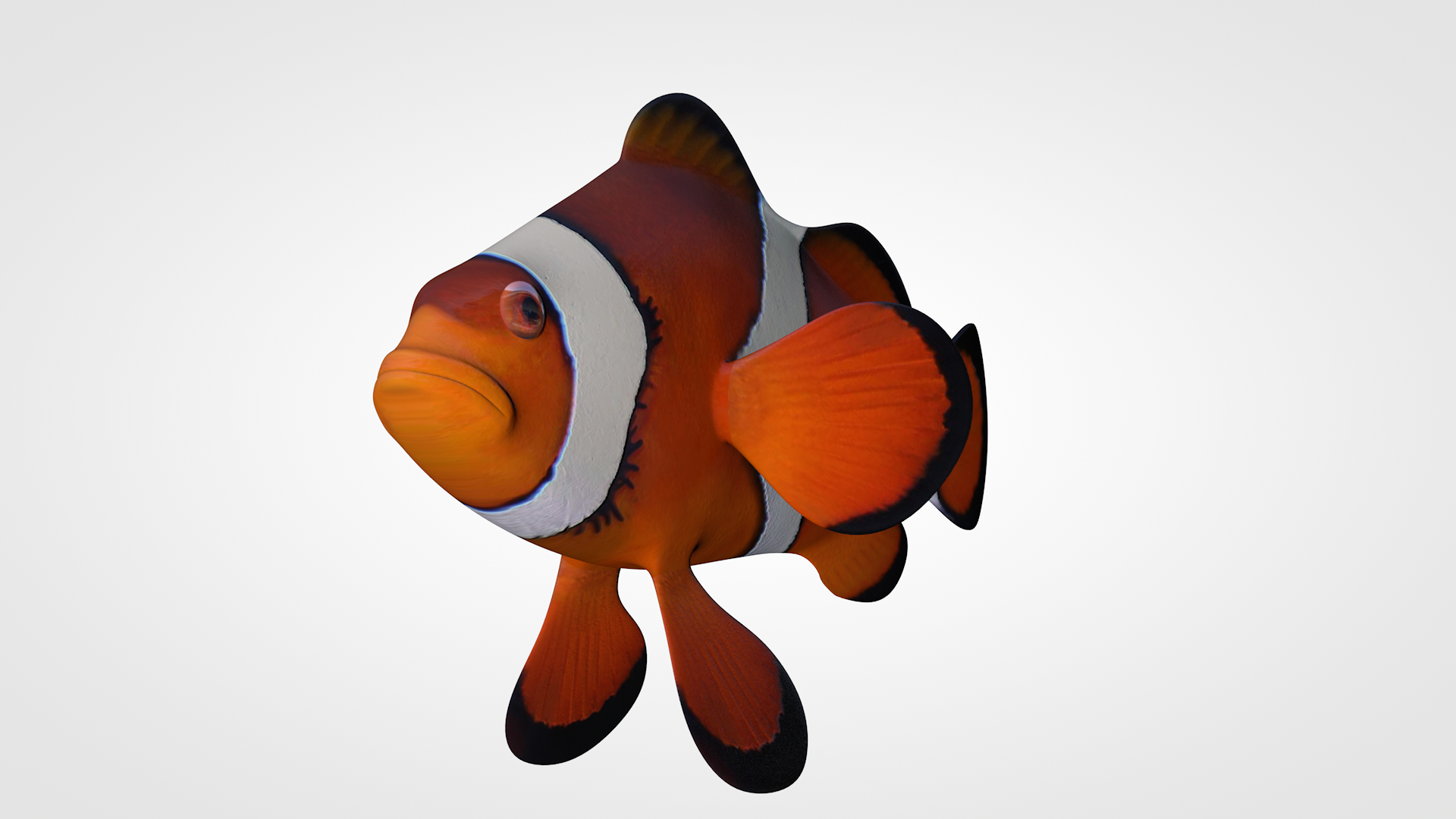 cinema4d anemonefish nemo