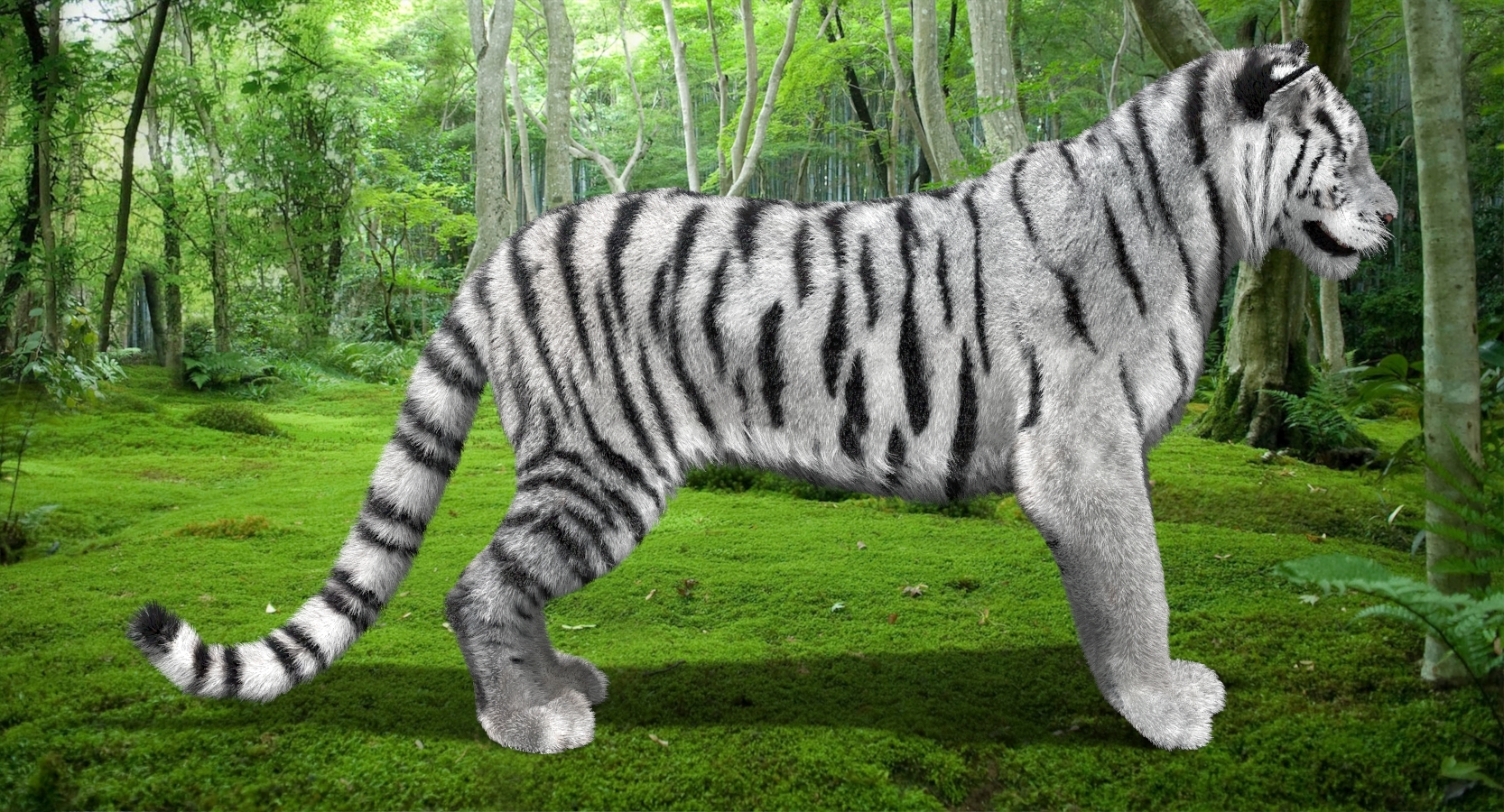 tiger amur white (animated, fur)