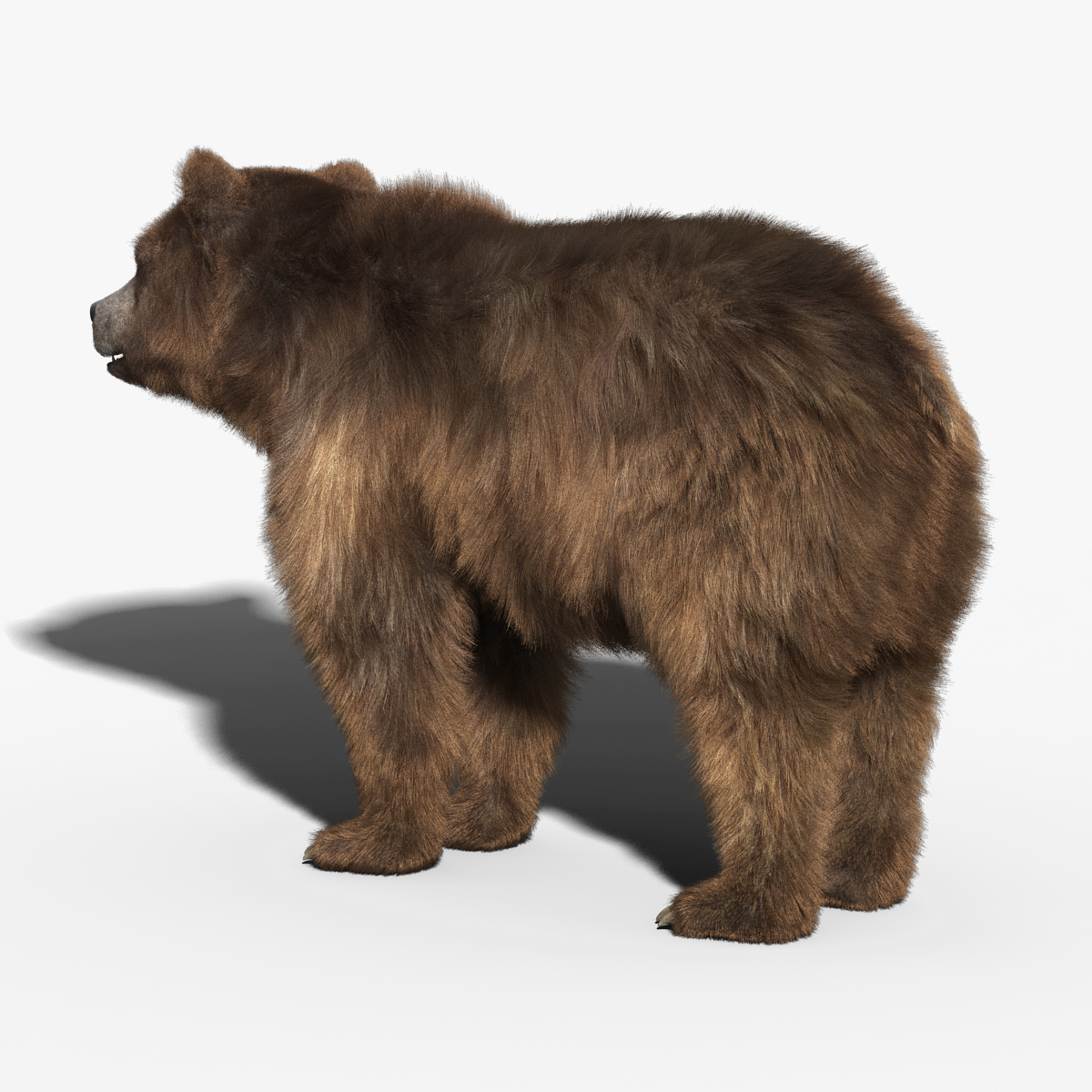 3d brown bear fur