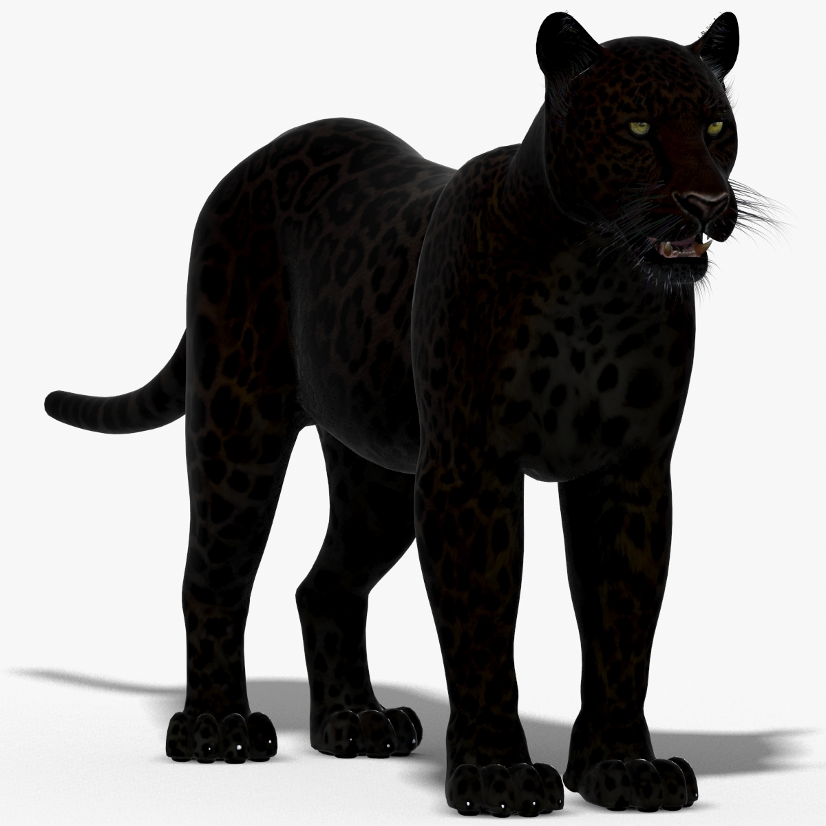 panther black animal 3d model