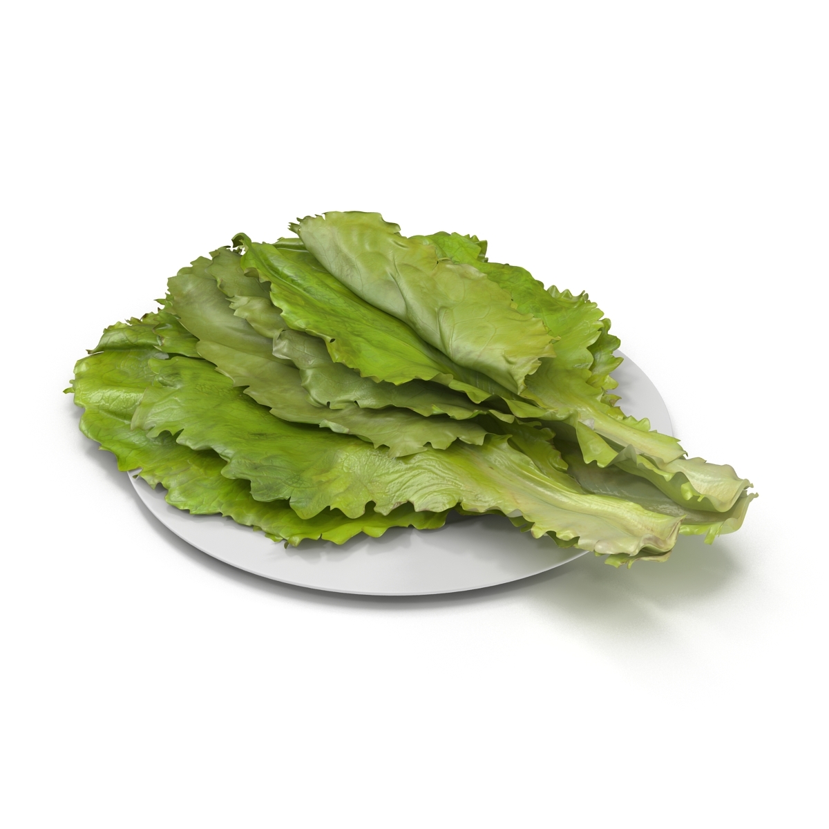 lettuce leaf pile 3d model