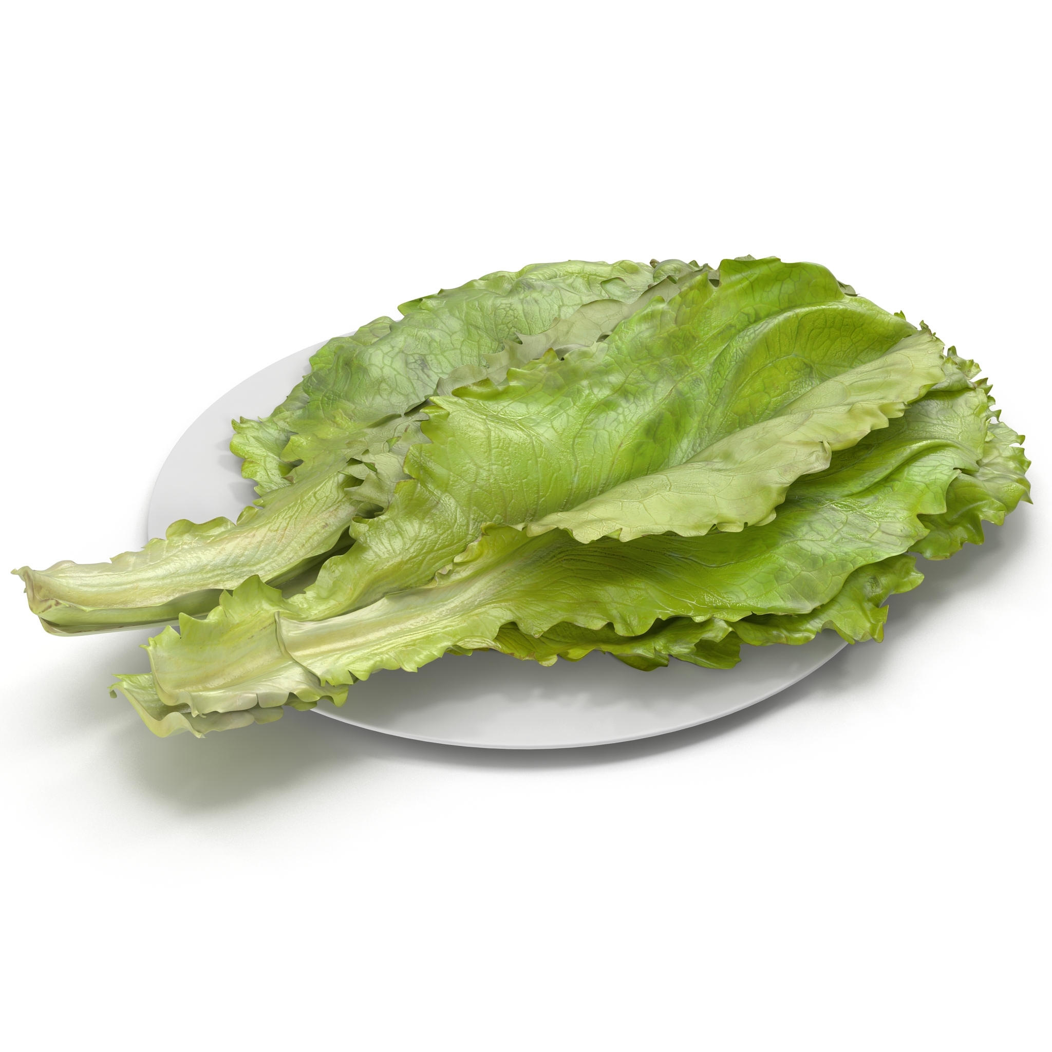 lettuce leaf pile 3d model