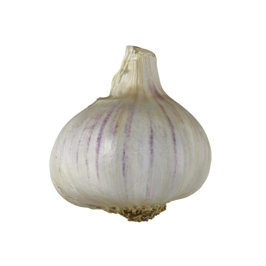 garlic bulb