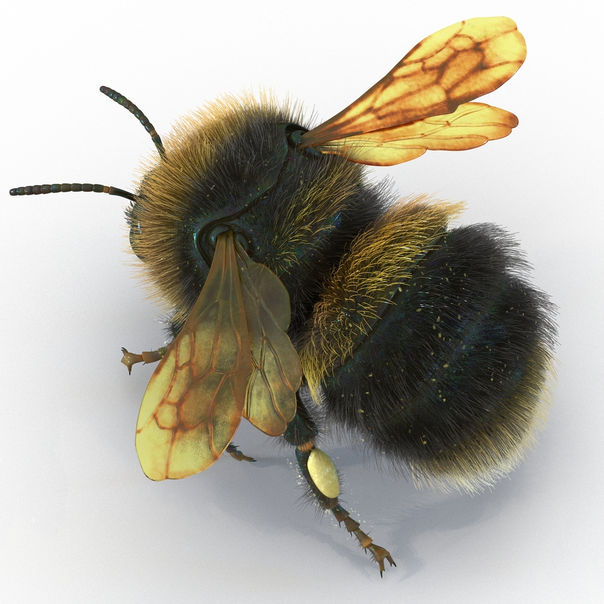 bumblebee rigged