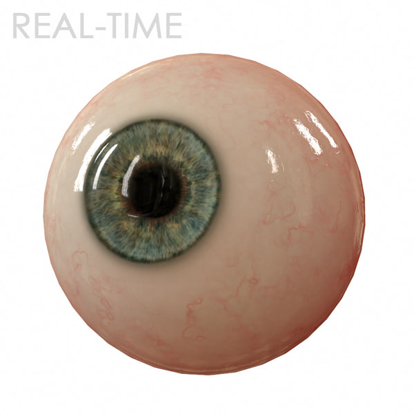 3d eyeballs models