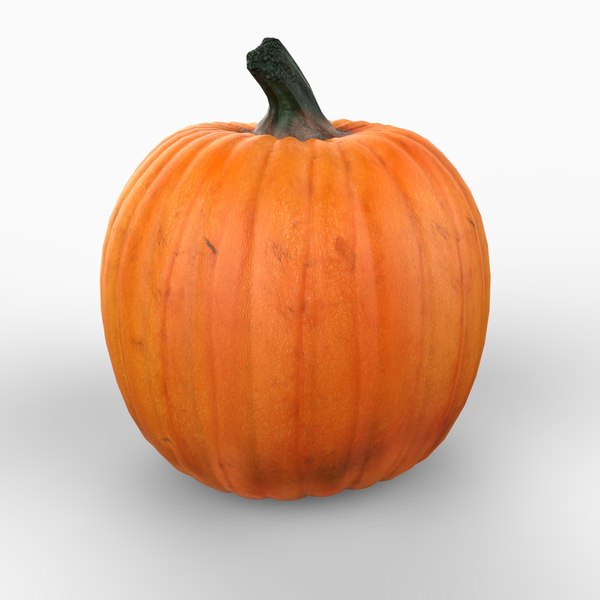 pumpkin squash plant c4d