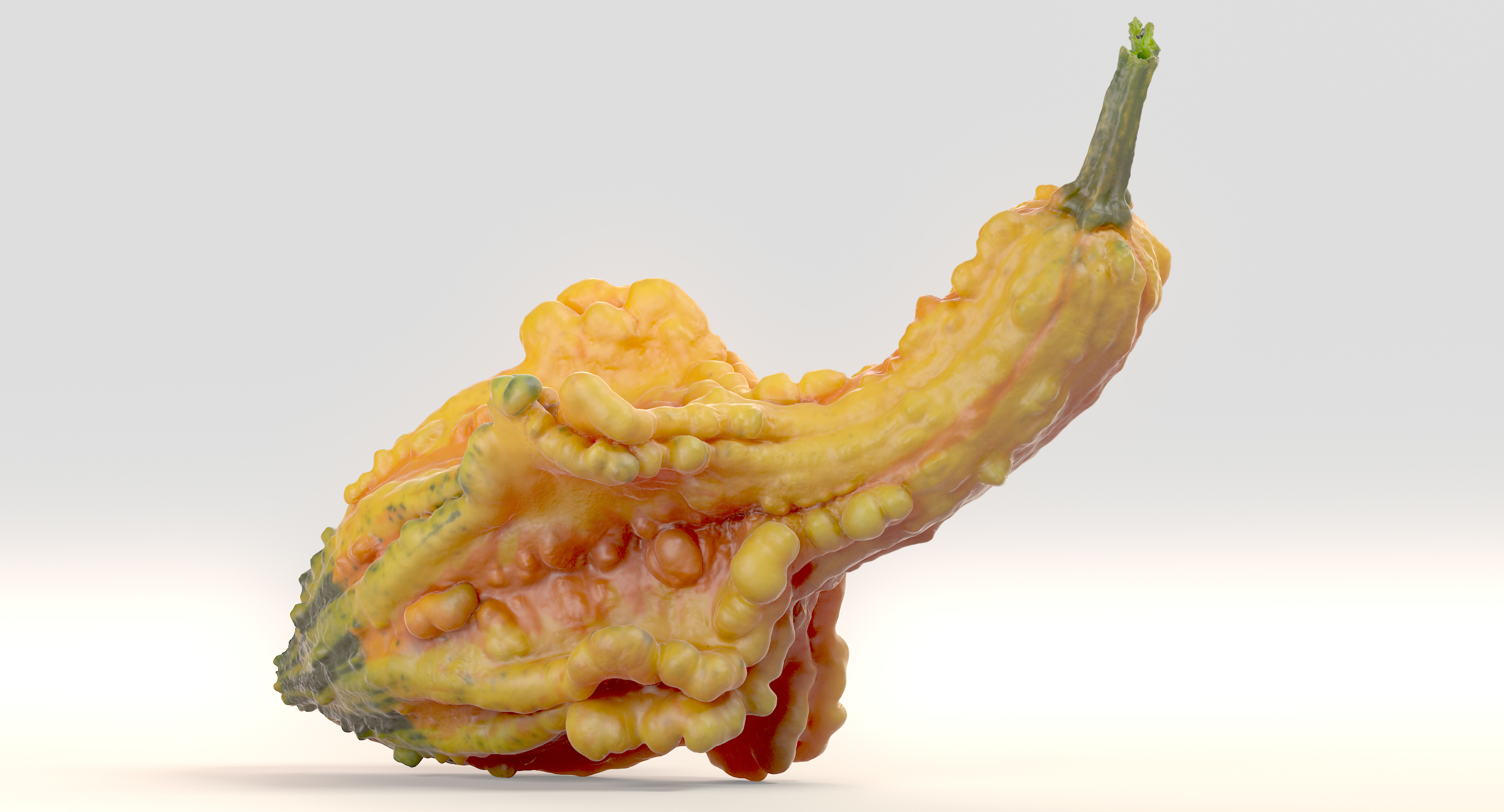 yellow crookneck squash pumpkin