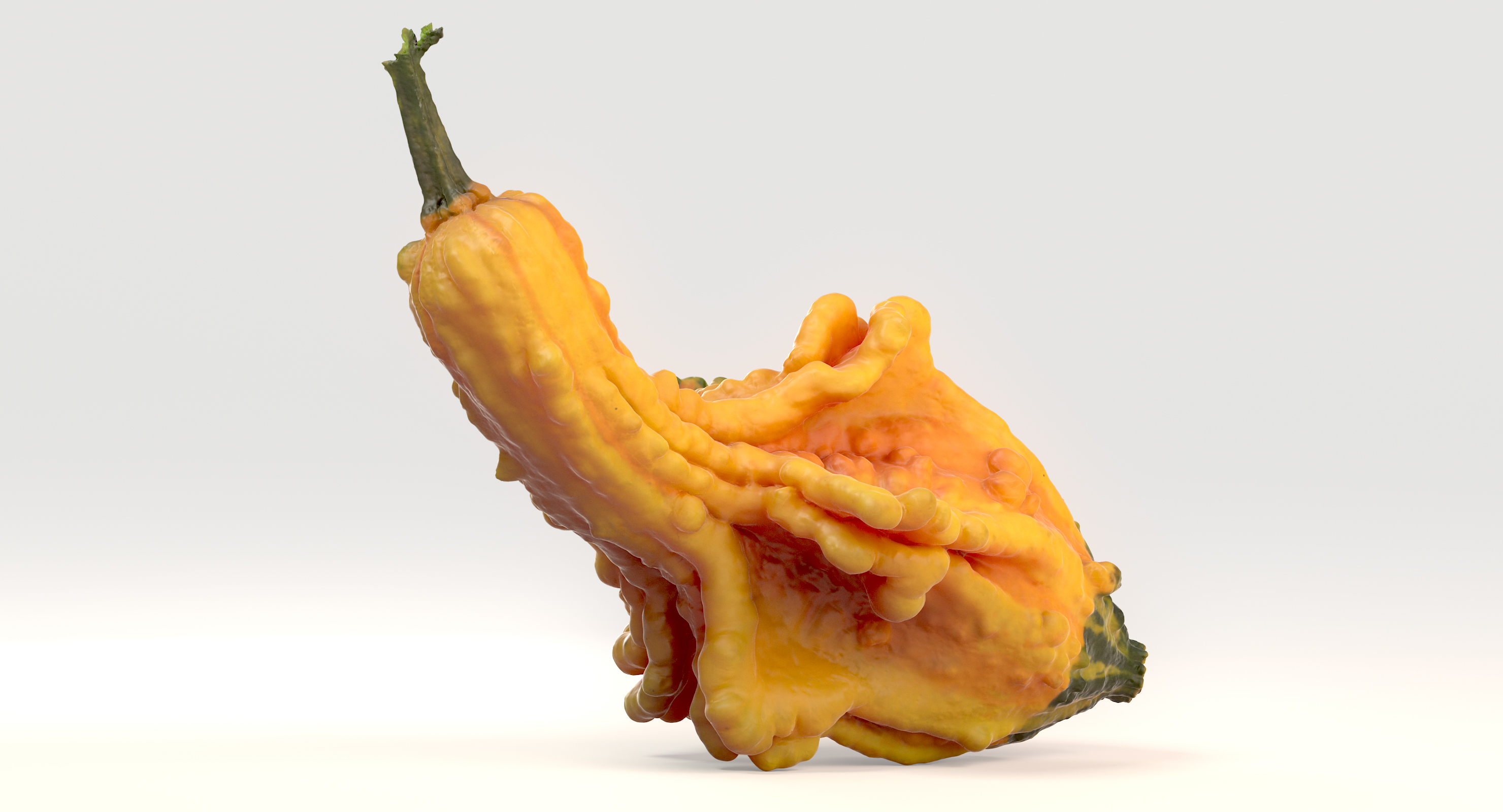yellow crookneck squash pumpkin