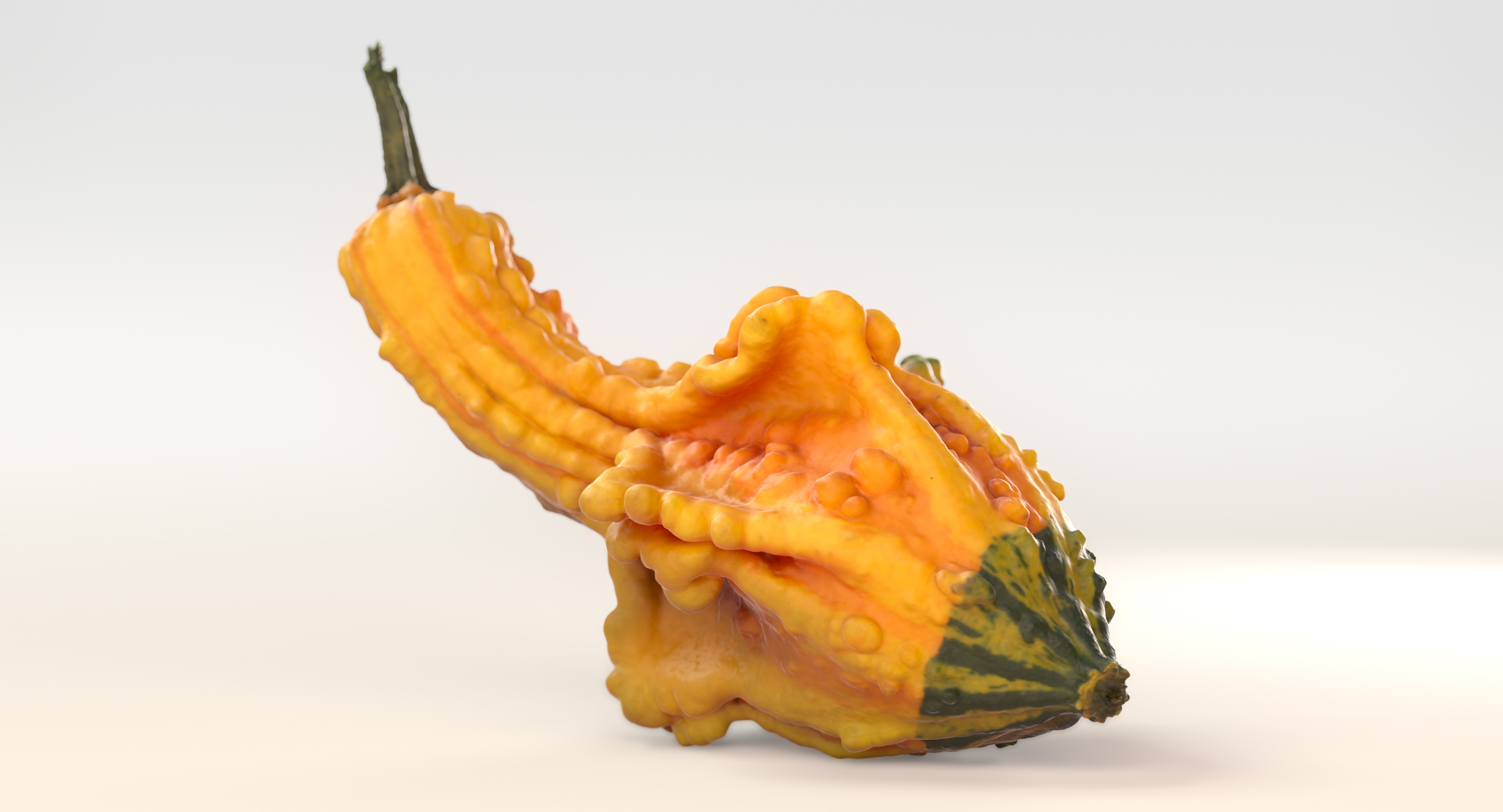 yellow crookneck squash pumpkin