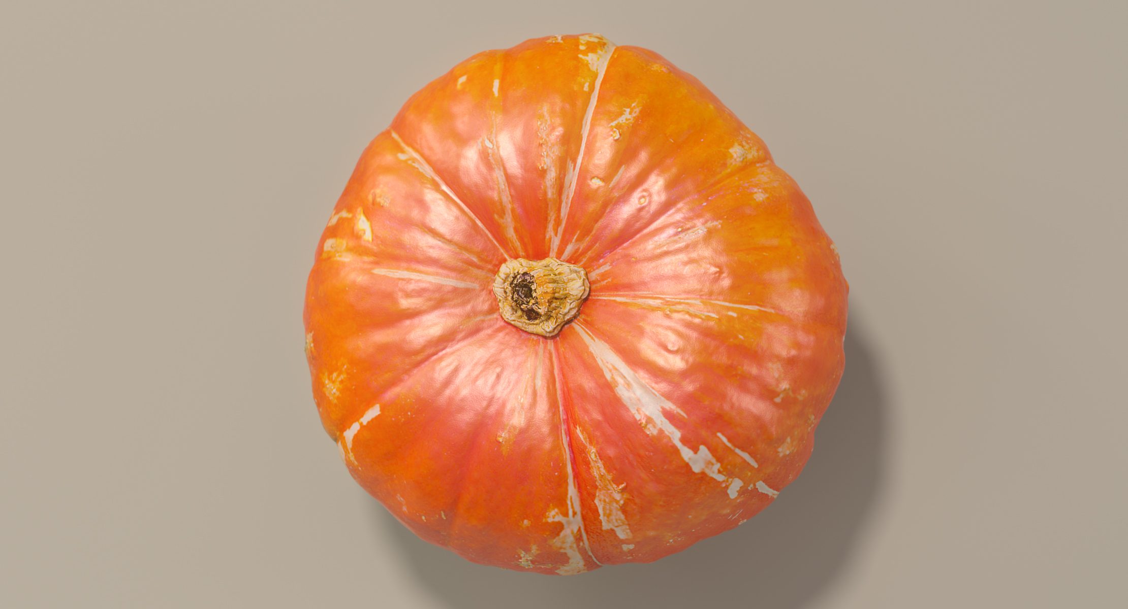 orange turban squash pumpkin