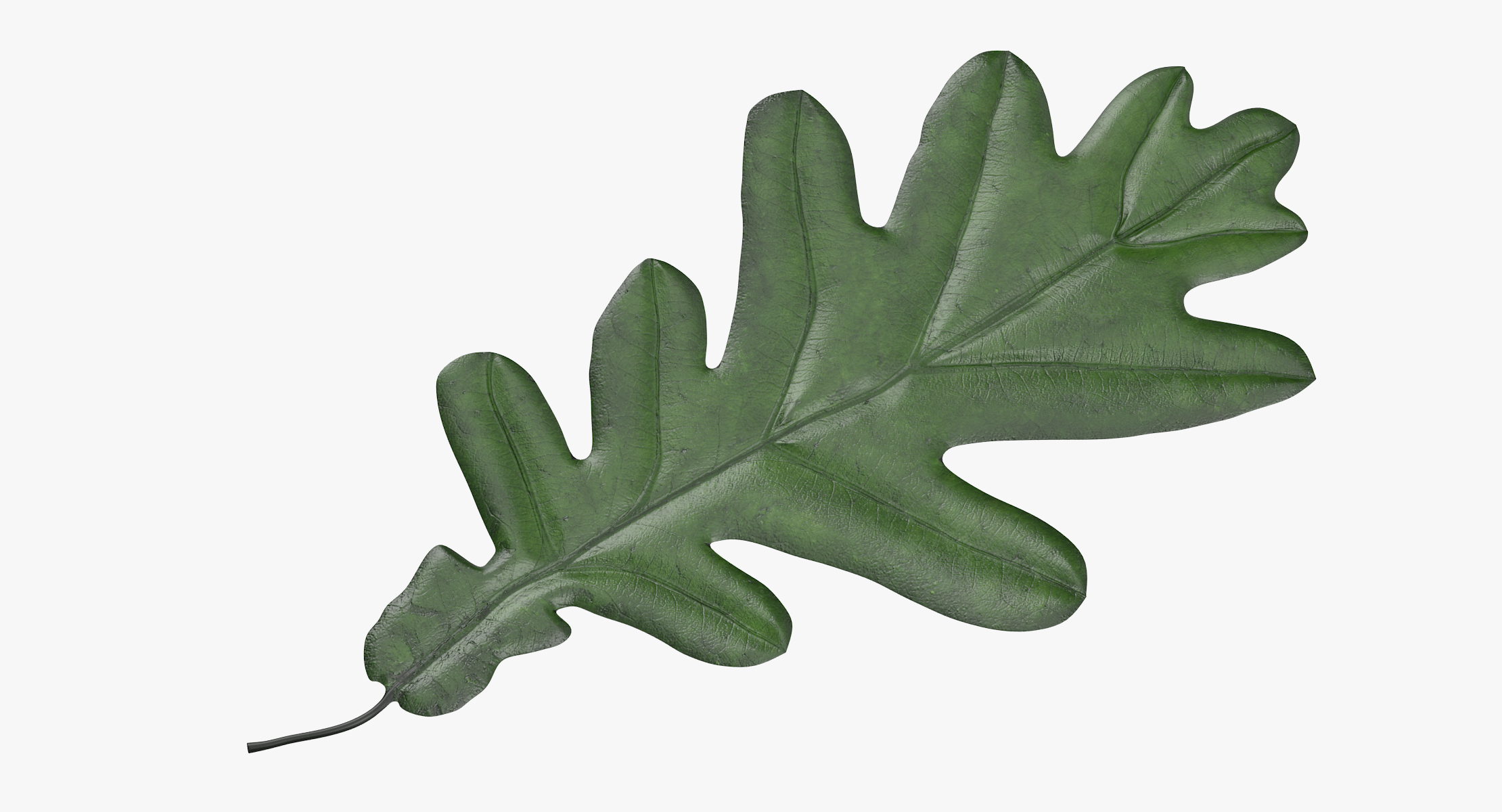 oak leaf 03 green