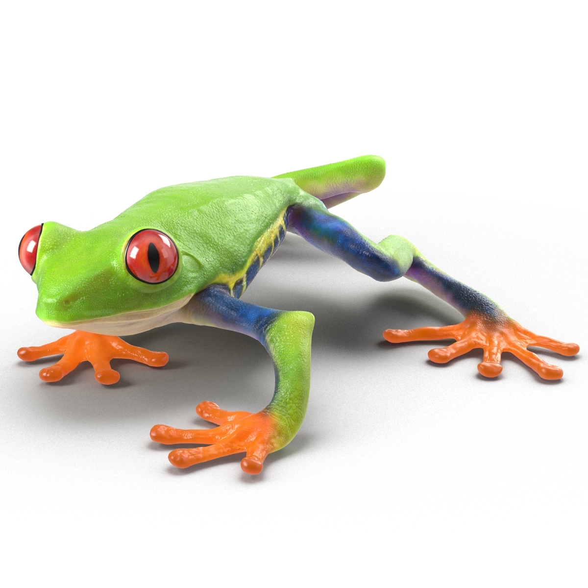 3d model red eyed tree frog