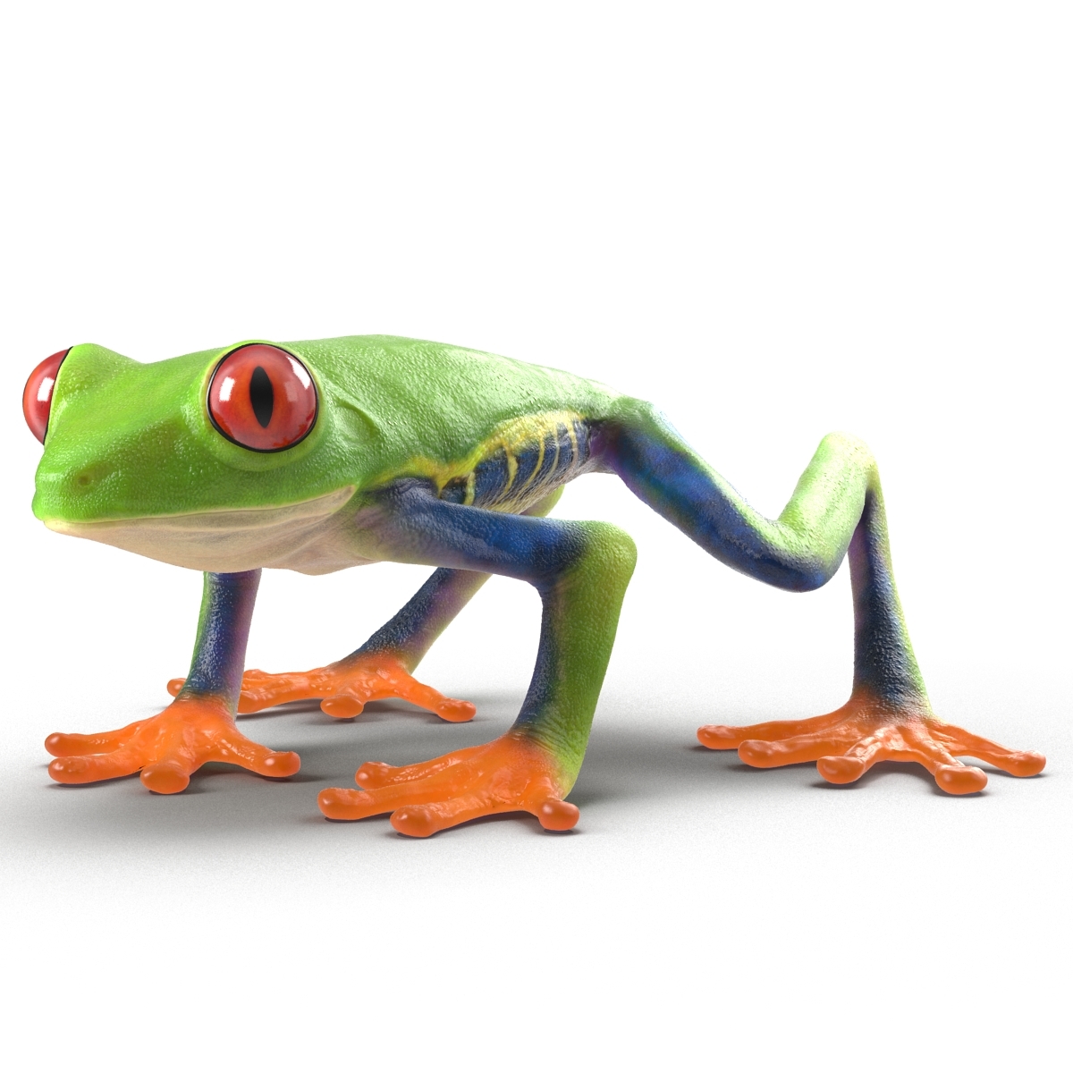 3d model red eyed tree frog