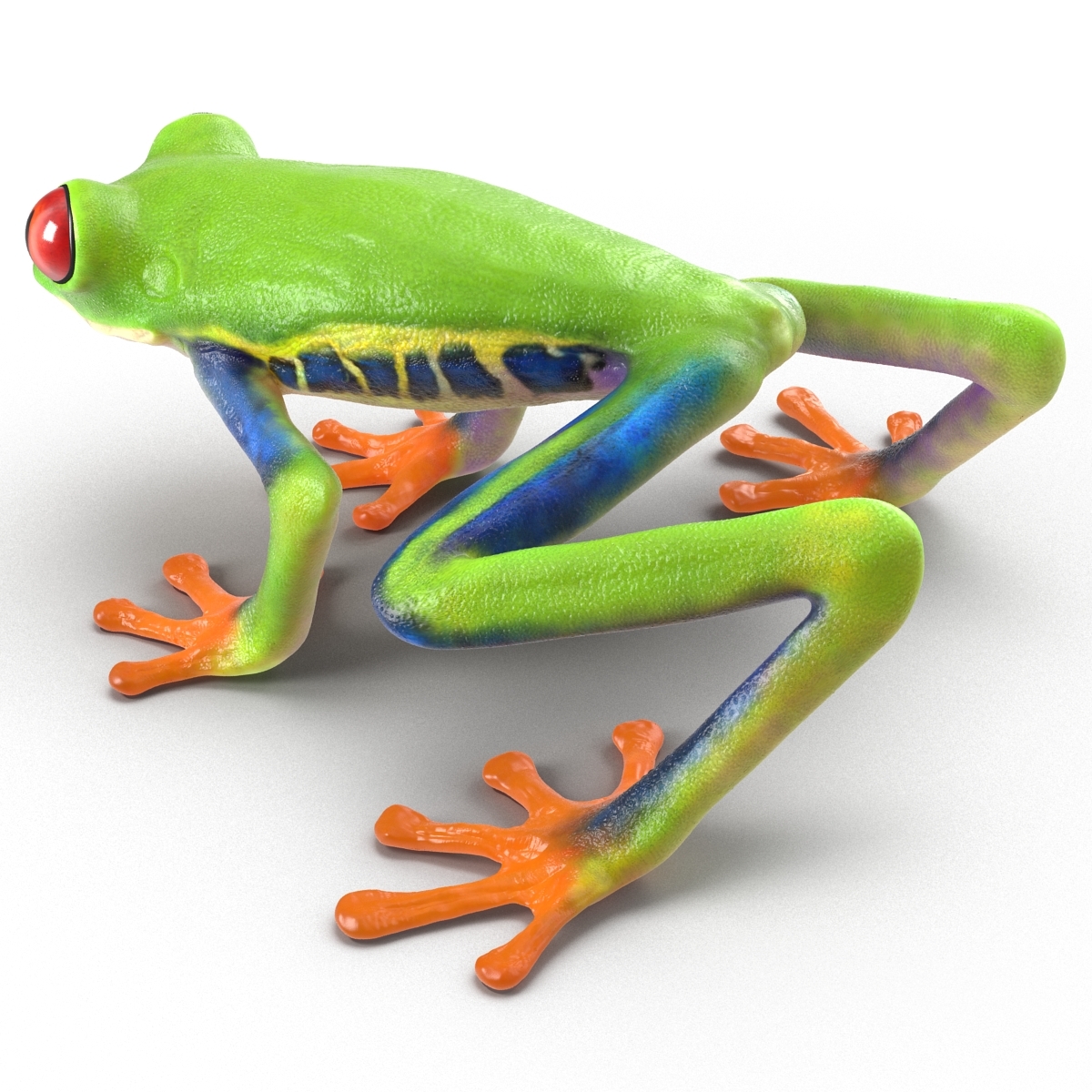 3d model red eyed tree frog