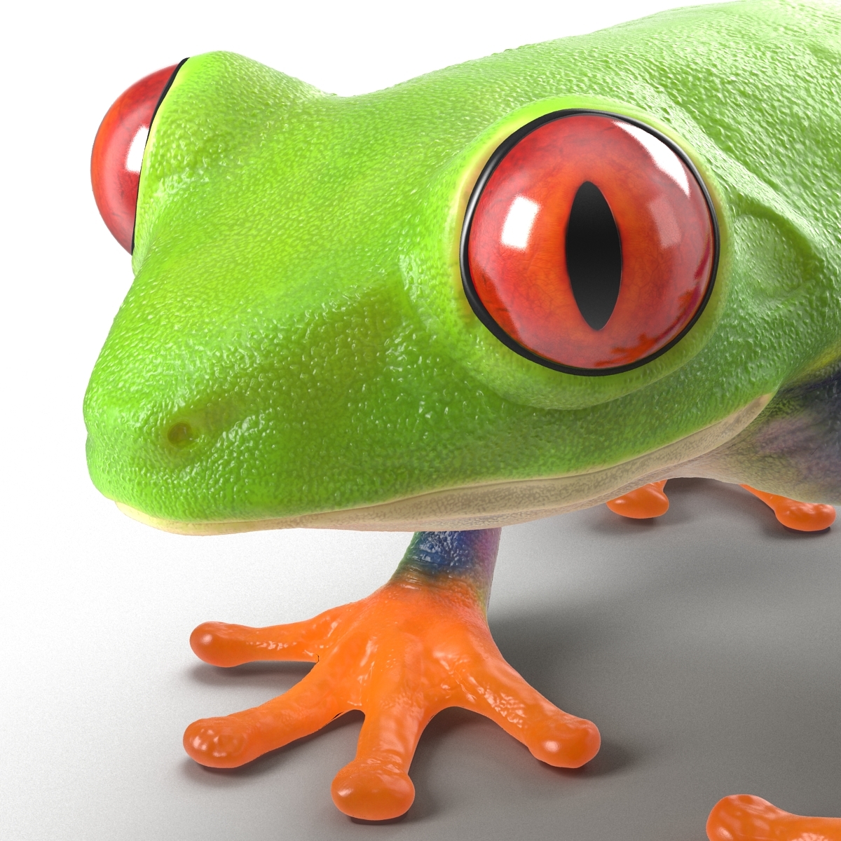 3d model red eyed tree frog