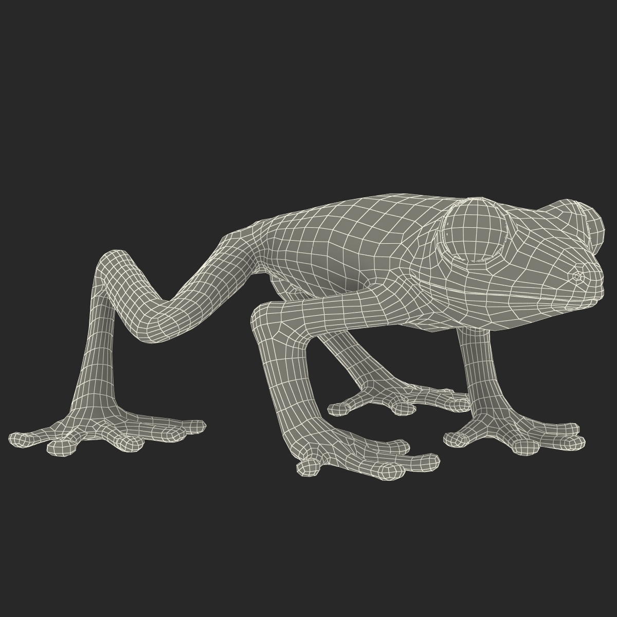 3d model red eyed tree frog