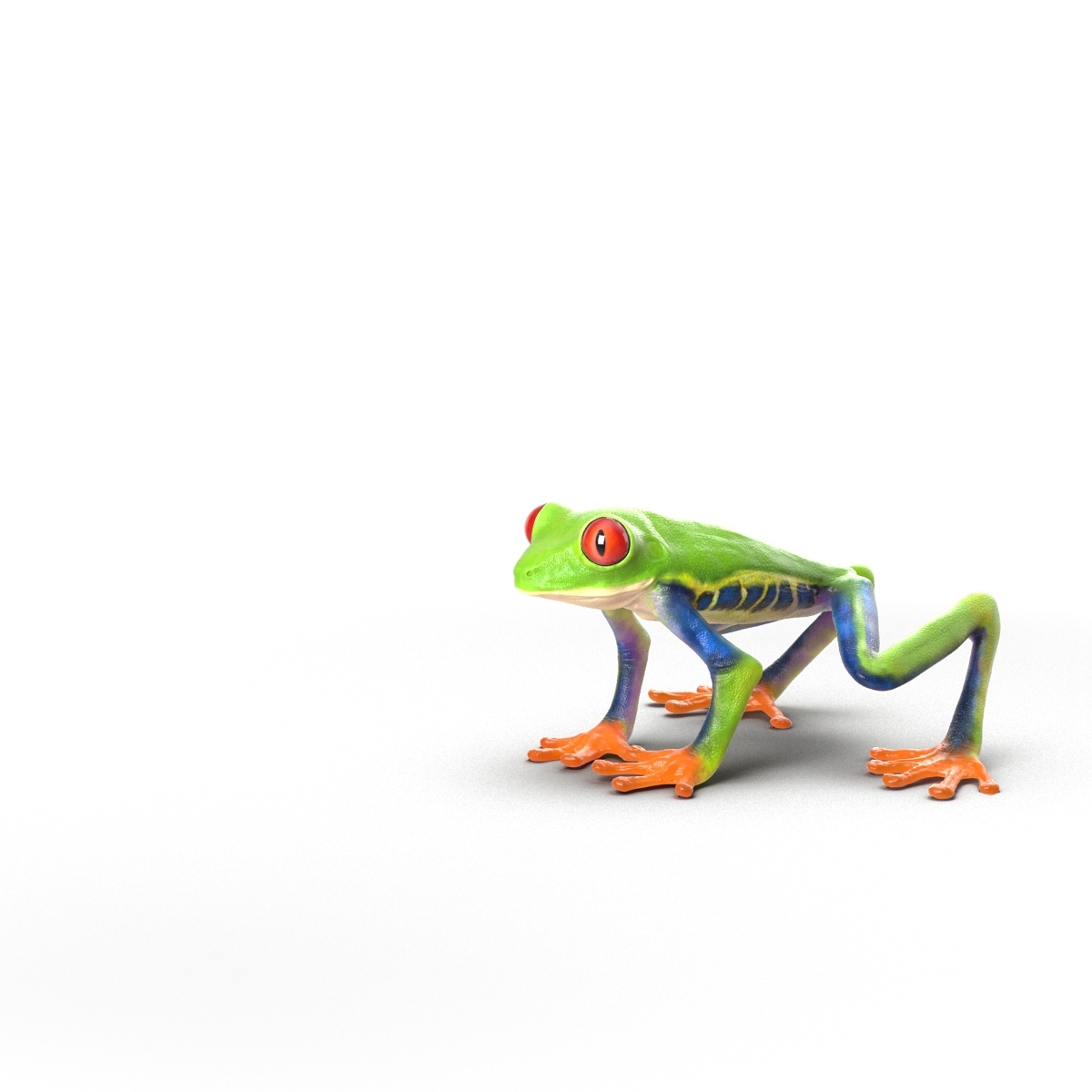 3d model red eyed tree frog