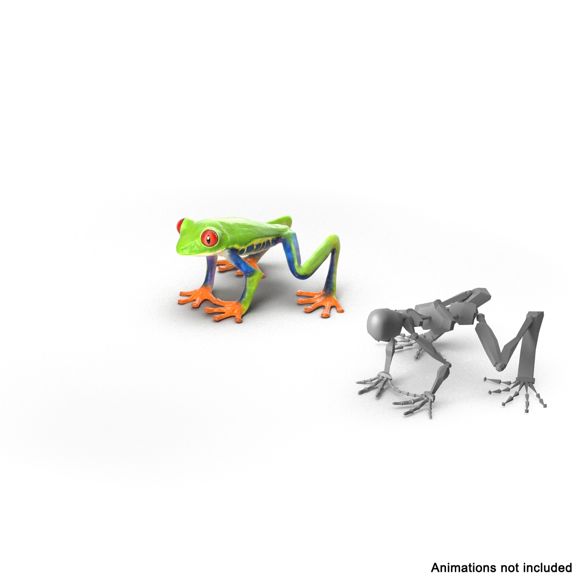 3d model red eyed tree frog